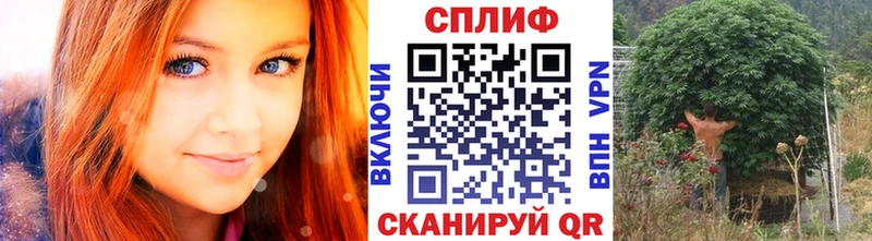 Шишки марихуана тримм даркнет сайт Ершов